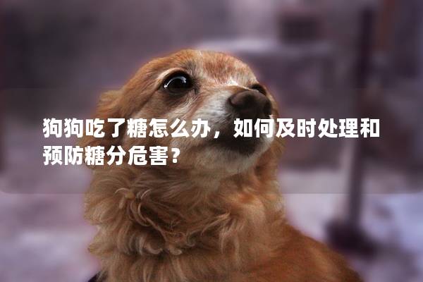 狗狗吃了糖怎么辦，如何及時處理和預防糖分危害？