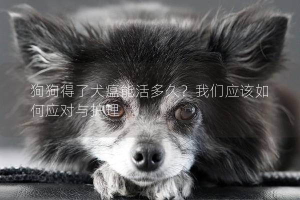 狗狗得了犬瘟能活多久？我們應該如何應對與護理