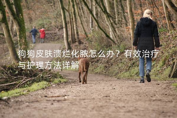狗狗皮膚潰爛化膿怎么辦?有效治療與護理方法詳解 狗狗皮膚潰爛化膿怎么辦?有效治療與護理方法詳解