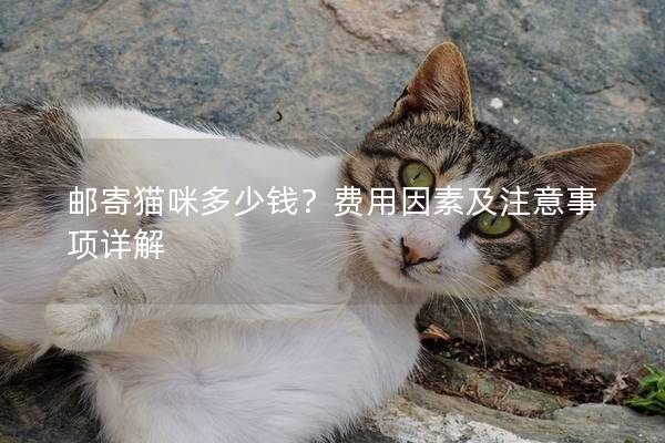 郵寄貓咪多少錢？費用因素及注意事項詳解