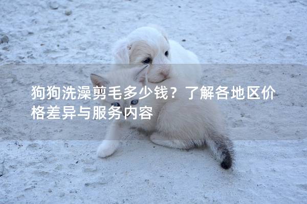 狗狗洗澡剪毛多少錢？了解各地區(qū)價(jià)格差異與服務(wù)內(nèi)容