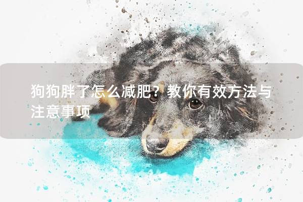 狗狗胖了怎么減肥？教你有效方法與注意事項