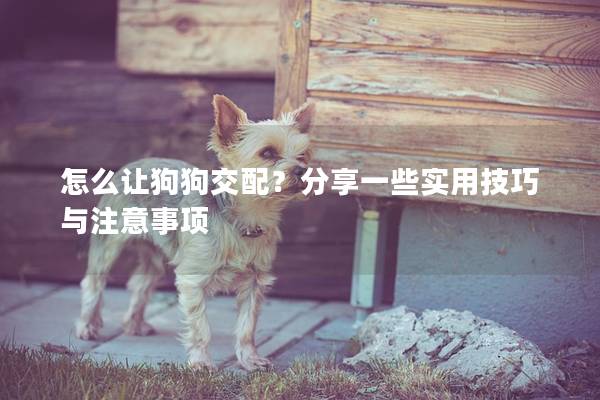 怎么讓狗狗交配?分享一些實用技巧與注意事項 怎么讓狗狗交配?分享一些實用技巧與注意事項
