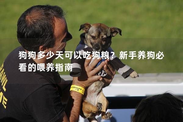 狗狗多少天可以吃狗糧？新手養(yǎng)狗必看的喂養(yǎng)指南