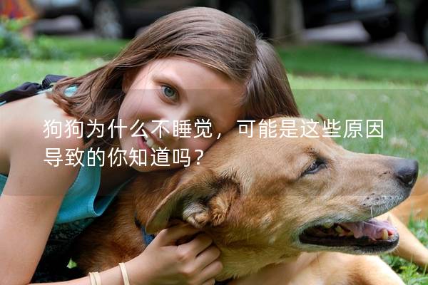 狗狗為什么不睡覺，可能是這些原因導致的你知道嗎？