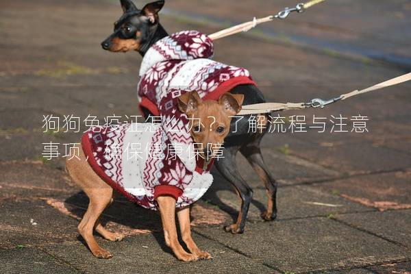 狗狗免疫證怎么辦？了解流程與注意事項，確保健康保障