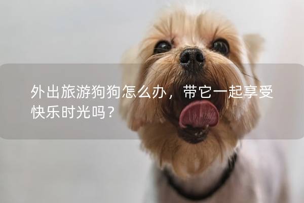 外出旅游狗狗怎么辦，帶它一起享受快樂時光嗎？