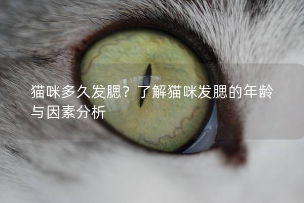 貓咪多久發腮?了解貓咪發腮的年齡與因素分析 貓咪多久發腮?了解貓咪發腮的年齡與因素分析