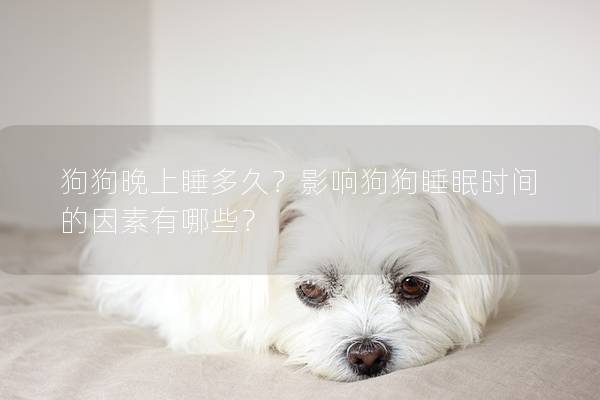狗狗晚上睡多久？影響狗狗睡眠時間的因素有哪些？