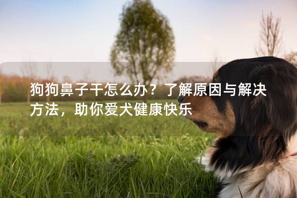 狗狗鼻子干怎么辦?了解原因與解決方法,助你愛犬健康快樂 狗狗鼻子干怎么辦?了解原因與解決方法,助你愛犬健康快樂