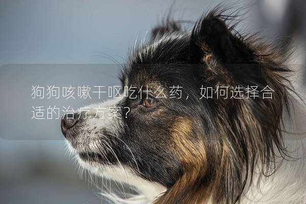 狗狗咳嗽干嘔吃什么藥，如何選擇合適的治療方案？
