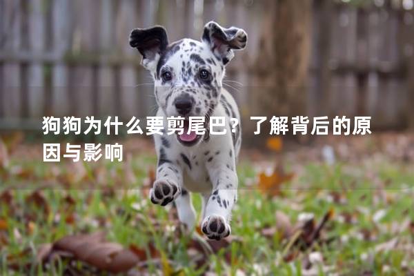 狗狗為什么要剪尾巴？了解背后的原因與影響