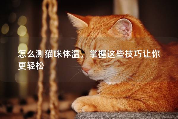 怎么測貓咪體溫,掌握這些技巧讓你更輕松 怎么測貓咪體溫,掌握這些技巧讓你更輕松