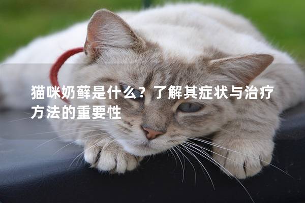 貓咪奶蘚是什么?了解其癥狀與治療方法的重要性
