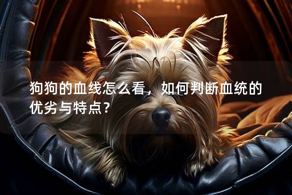 狗狗的血線怎么看,如何判斷血統的優劣與特點? 狗狗的血線怎么看,如何判斷血統的優劣與特點?