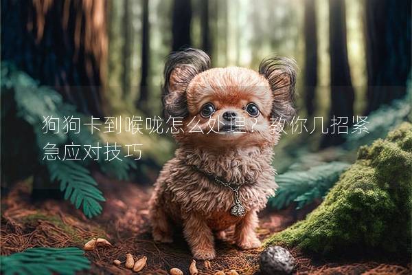狗狗卡到喉嚨怎么處理？教你幾招緊急應(yīng)對(duì)技巧