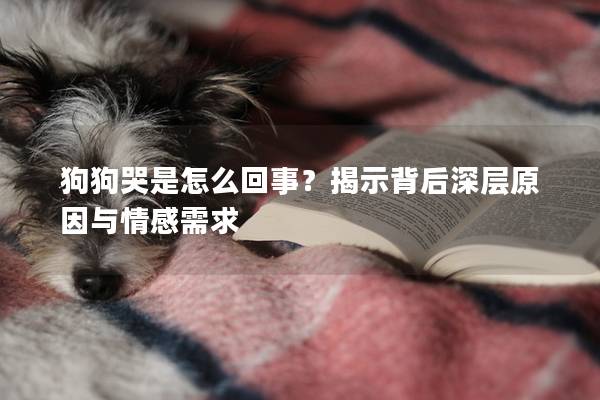 狗狗哭是怎么回事？揭示背后深層原因與情感需求