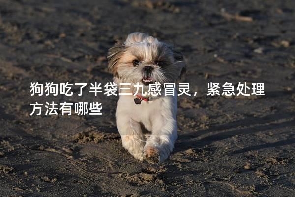 狗狗吃了半袋三九感冒靈，緊急處理方法有哪些
