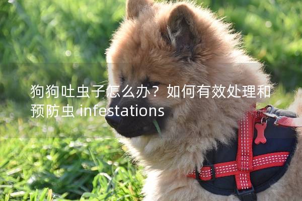狗狗吐蟲子怎么辦？如何有效處理和預防蟲 infestations