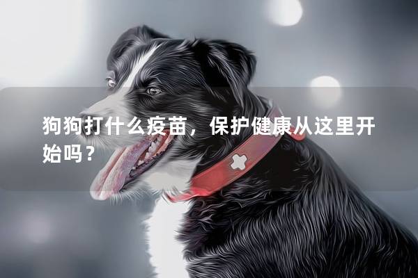 狗狗打什么疫苗，保護健康從這里開始嗎？