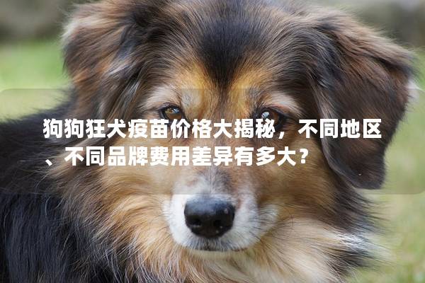 狗狗狂犬疫苗價(jià)格大揭秘，不同地區(qū)、不同品牌費(fèi)用差異有多大？