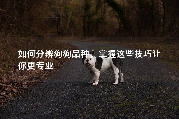 如何分辨狗狗品種，掌握這些技巧讓你更專業