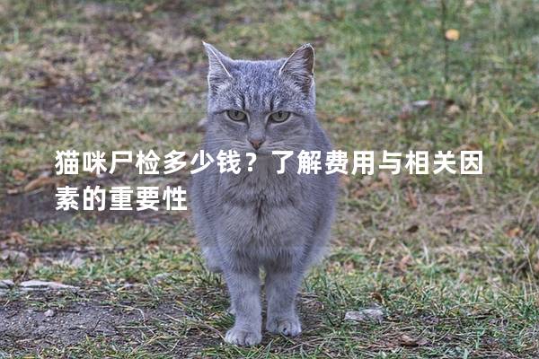 貓咪尸檢多少錢？了解費用與相關因素的重要性