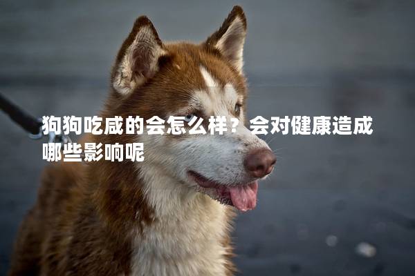 狗狗吃咸的會怎么樣？會對健康造成哪些影響呢