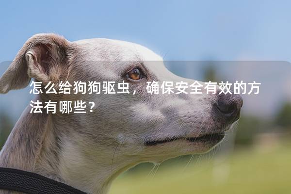 怎么給狗狗驅(qū)蟲,確保安全有效的方法有哪些? 怎么給狗狗驅(qū)蟲,確保安全有效的方法有哪些?