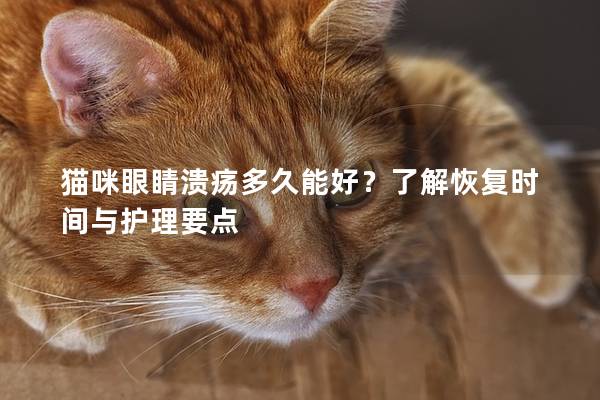 貓咪眼睛潰瘍多久能好?了解恢復時間與護理要點