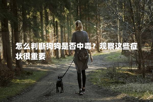 怎么判斷狗狗是否中毒？觀察這些癥狀很重要