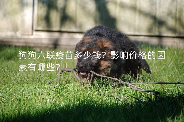 狗狗六聯(lián)疫苗多少錢？影響價格的因素有哪些？
