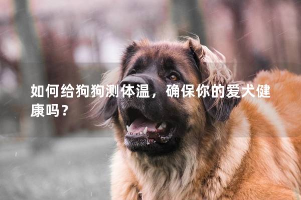 如何給狗狗測體溫，確保你的愛犬健康嗎？