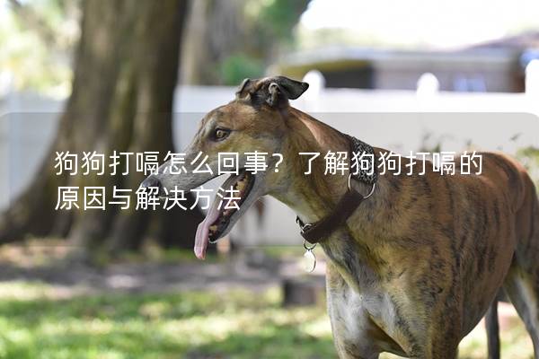 狗狗打嗝怎么回事？了解狗狗打嗝的原因與解決方法
