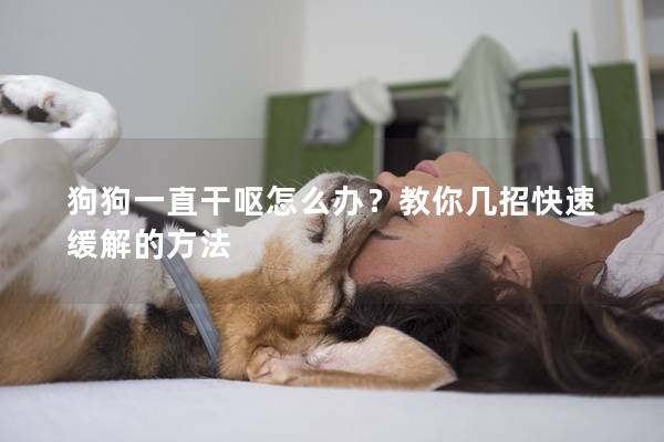 狗狗一直干嘔怎么辦？教你幾招快速緩解的方法