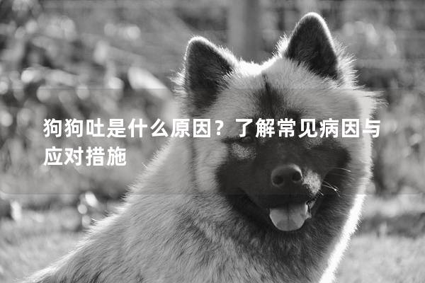 狗狗吐是什么原因？了解常見病因與應對措施
