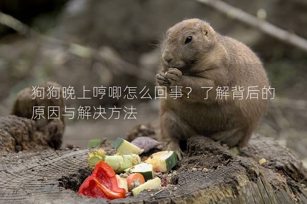 狗狗晚上哼唧怎么回事?了解背后的原因與解決方法 狗狗晚上哼唧怎么回事?了解背后的原因與解決方法