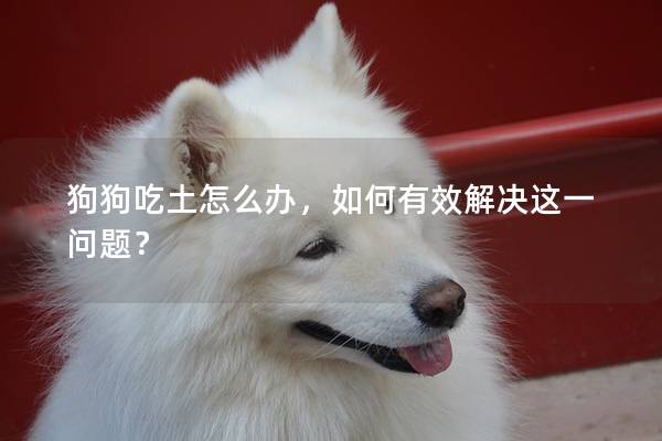 狗狗吃土怎么辦，如何有效解決這一問題？