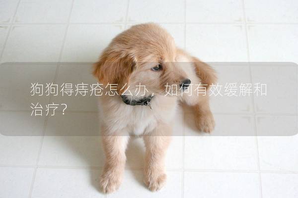 狗狗得痔瘡怎么辦，如何有效緩解和治療？