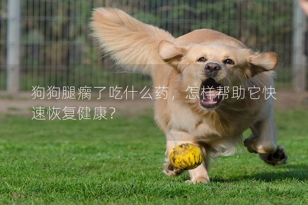 狗狗腿瘸了吃什么藥，怎樣幫助它快速恢復(fù)健康？