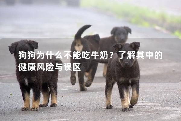 狗狗為什么不能吃牛奶？了解其中的健康風險與誤區