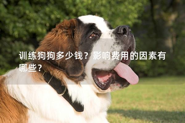 訓練狗狗多少錢？影響費用的因素有哪些？