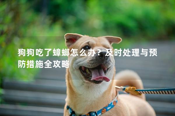 狗狗吃了蟑螂怎么辦?及時處理與預防措施全攻略