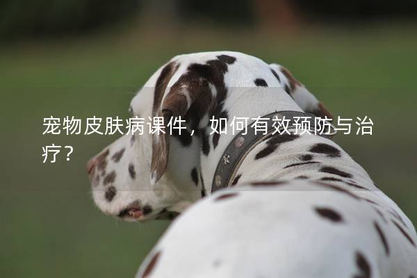寵物皮膚病課件，如何有效預防與治療？