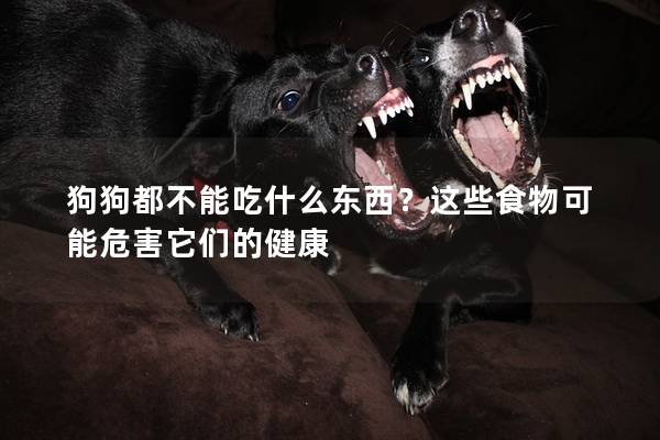 狗狗都不能吃什么東西？這些食物可能危害它們的健康