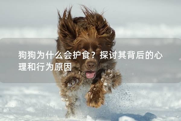 狗狗為什么會護食？探討其背后的心理和行為原因