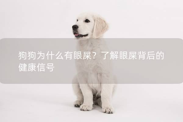 狗狗為什么有眼屎？了解眼屎背后的健康信號(hào)
