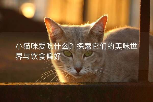 小貓咪愛吃什么？探索它們的美味世界與飲食偏好
