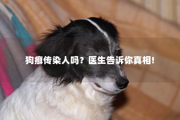 狗癬傳染人嗎？醫生告訴你真相!