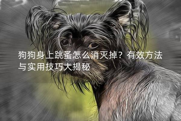 狗狗身上跳蚤怎么消滅掉？有效方法與實(shí)用技巧大揭秘